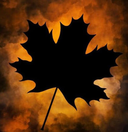 Caption Goes here :)