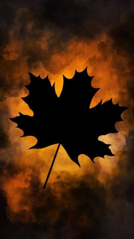 Caption goes here :)